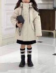 Парка Moncler Артикул LUX-114295. Вид 1