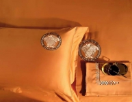Комплект постельного белья Versace Артикул LUX-75393. Вид 3