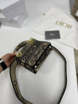  Сумка женская Lady D-Lite 17 см  Christian Dior Артикул LUX-81108. Вид 4
