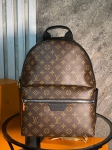 Рюкзак  Louis Vuitton Артикул LUX-100496. Вид 1