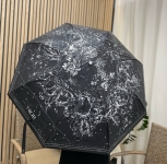 Зонт Christian Dior Артикул LUX-104336. Вид 1