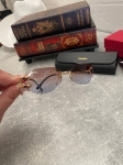Очки Cartier Артикул LUX-107055. Вид 1