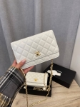 Сумка женская Chanel Артикул LUX-107213. Вид 2