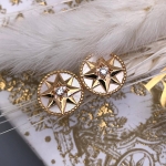 Серьги Christian Dior Артикул LUX-107273. Вид 1