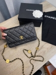  Сумка женская Chanel Артикул LUX-111812. Вид 2
