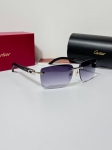 Очки Cartier Артикул LUX-121225. Вид 2