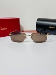 Очки Cartier Артикул LUX-121224. Вид 1