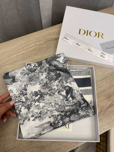 Платок  Christian Dior LUX-107227